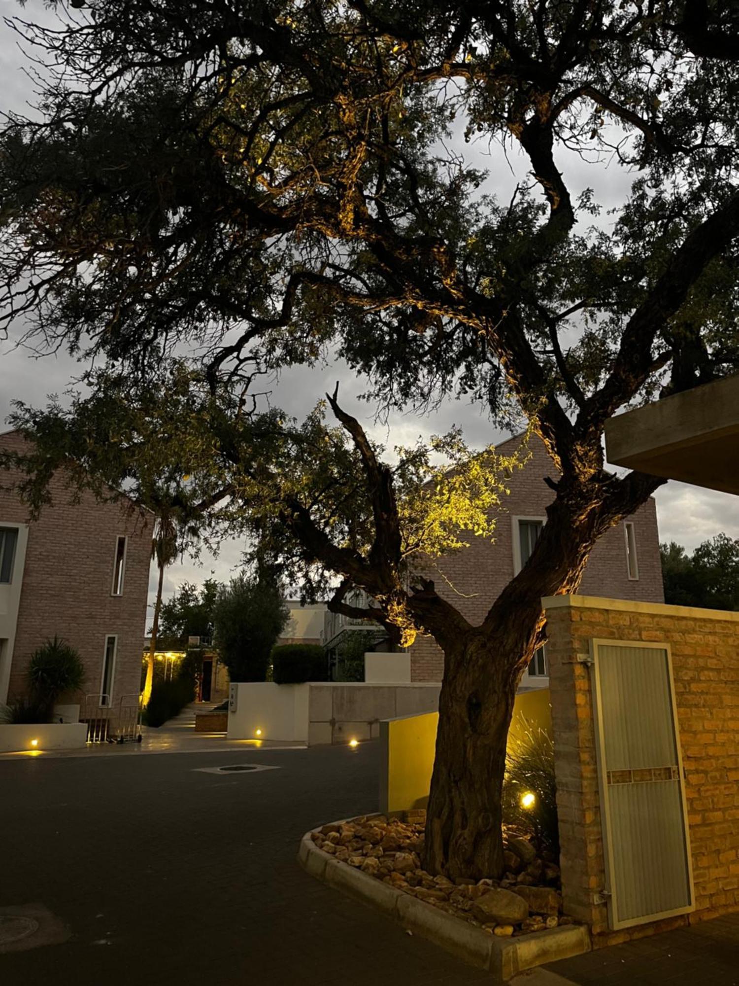 The Windhoek Luxury Suites Kültér fotó