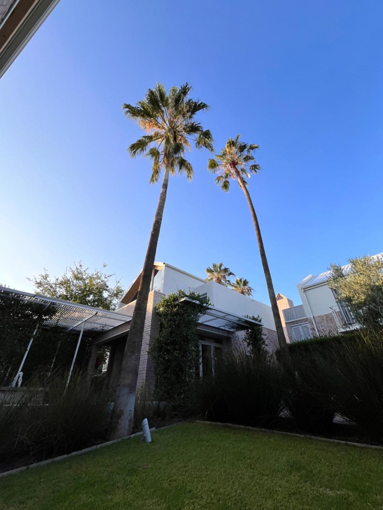 The Windhoek Luxury Suites Kültér fotó